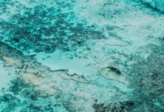 Reef Credit Scheme Update
