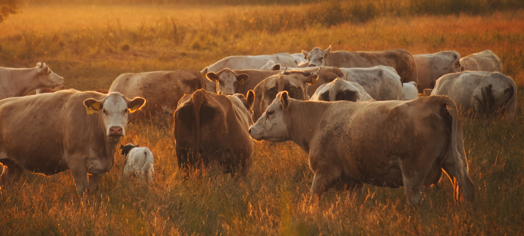 Grazing Land Management Methodology