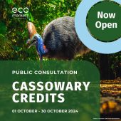 Cassowary Credit Public Consultation