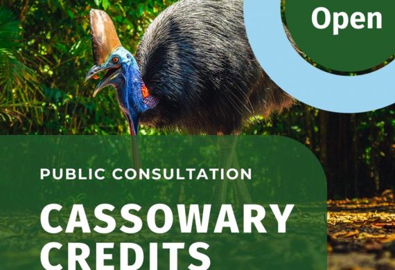 Cassowary Credit Public Consultation