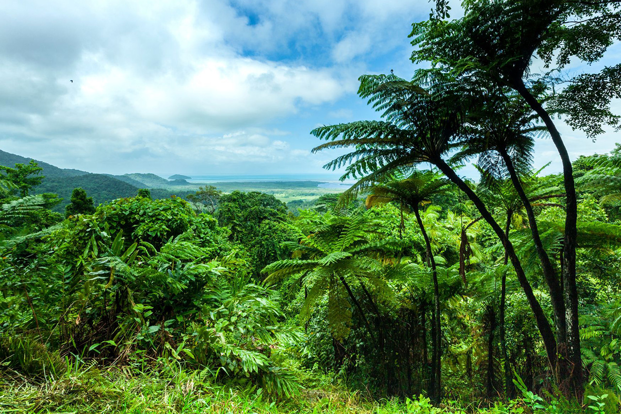 Cassowary Credit Scheme